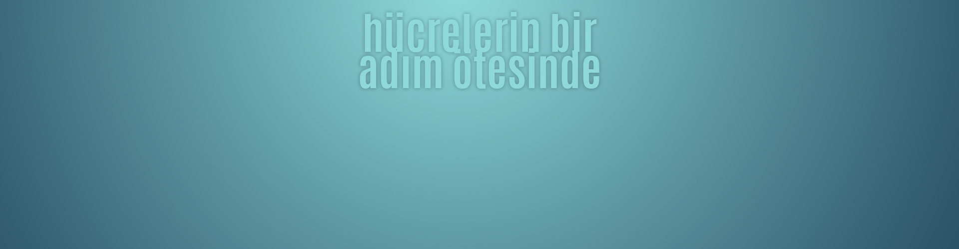 MCT - Meta Cell Technology